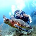 Janice Jay - @scubacamps - Twitter