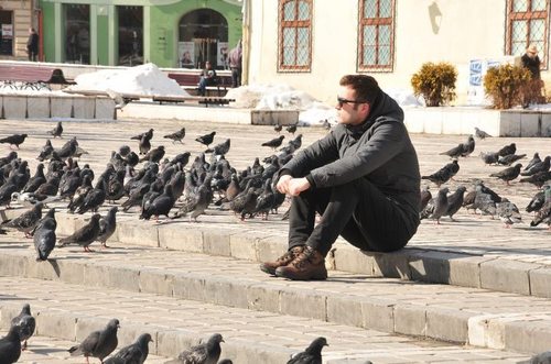 LaurentiuPavel's profile picture. 