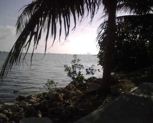 lindaholcman's profile picture. What's Next Ventures