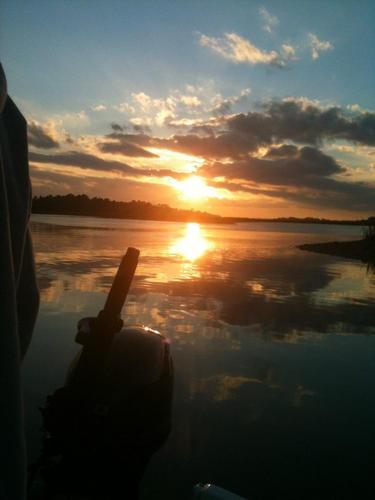 IcardsWinning's profile picture. Fun. Relaxed. Open Minded