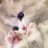 nvouyd's profile image