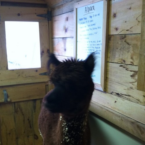 cdquandt's profile picture. 