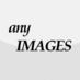 anyIMAGES.sub@TFB (@anyimagessub) Twitter profile photo anyIMAGES.sub@TFB (@anyimagessub) Twitter profile photo