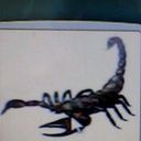 david el idrissi-man - @david_manger - Twitter