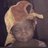 Menjo_o's profile image