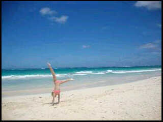 RyleyMacDonald3's profile picture. 