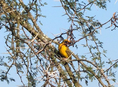 jazminandjohn's profile picture. this is the site for jazmin Patchwork & Quilting in Gordons Bay, Cape Town, South Africa