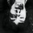 houseofmadman's profile image