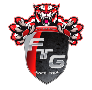 La FtG est une structure FR existante depuis 2006 sur console. Sponsors/Partenaires : gamoniac, Effect design, AcheterCLECD, Dailymotion. #Hact