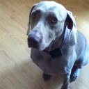 Taylor Spradling - @TTSprad - Twitter