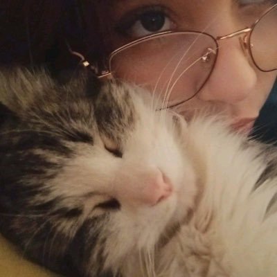 mndagascar's profile image