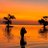 widyaasu's profile image