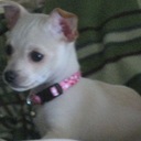 Faye Killian Dye - @FayeDye - Twitter