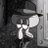 mrwackooo's profile image