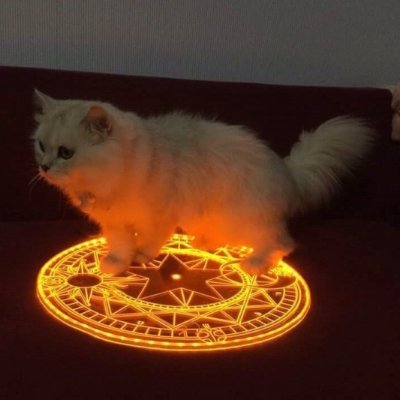 was @/ndevao
nsfw
World of Warcraft - Aonaesia MoonGuard
Into lots of nerdy games, ff14, books, DnD etc