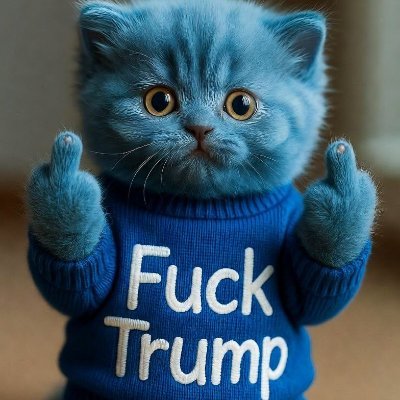 Trump is the worst president in American history. Our democracy is at risk. Married. 🚫DM 🚫MAGA  #VoteBlue 💙 #ImpeachTrump #NAFO #LGBTQ 🏳️‍🌈