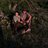 bottomlandboyz1's profile image