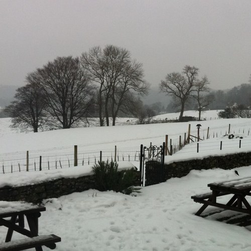 Nonikakerr's profile picture. Honest...... ( bordering on inappropriate... or maybe not bordering)......Curious Pluviophile.