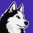 wolfe_br's profile image