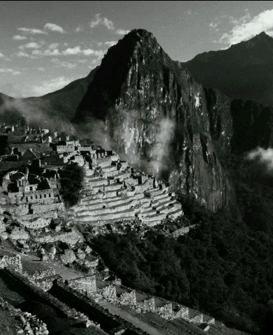 BHandles's profile picture. 