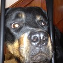 Ted Staples - @ebstaples - Twitter