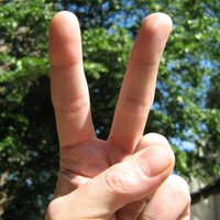 volunteering (@volunteering) 's Twitter Profile