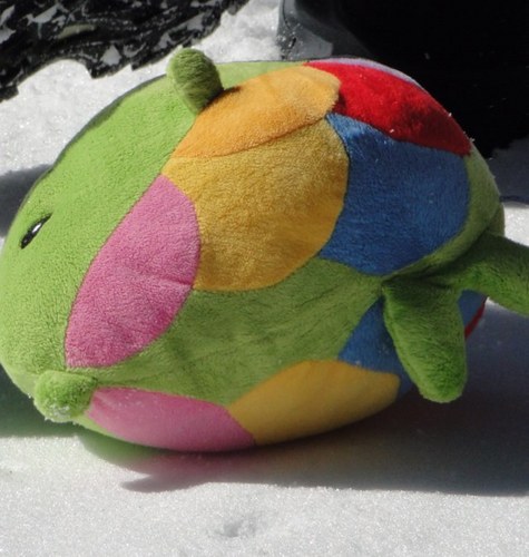 traxagu's profile picture. 