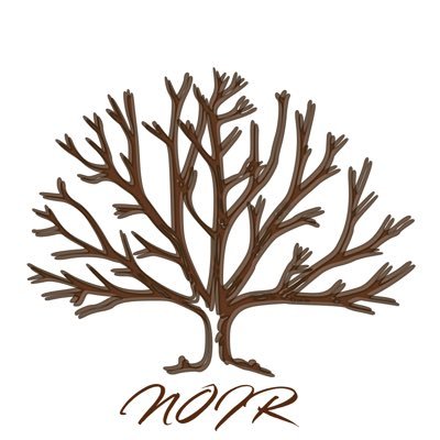 c’est noir 🌳