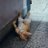 SarwarSult96995's profile image