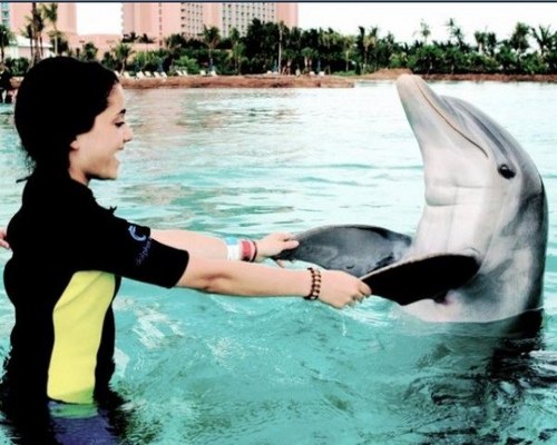 AriDolphin's profile picture. I'm a dolphin,Ariana Grande's dolphin ♥