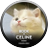 jinjincozy's profile image