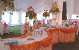 eventfolks's profile picture. live event planner