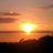 fabri_edu's profile image