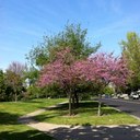 Sandra McKean - @McKeanSandra - Twitter