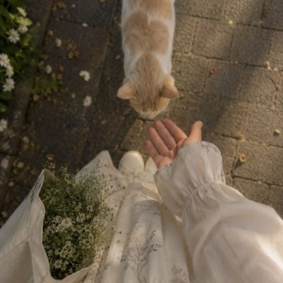 sarrramohammed Profile Picture