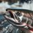 anadromousfish7's profile image