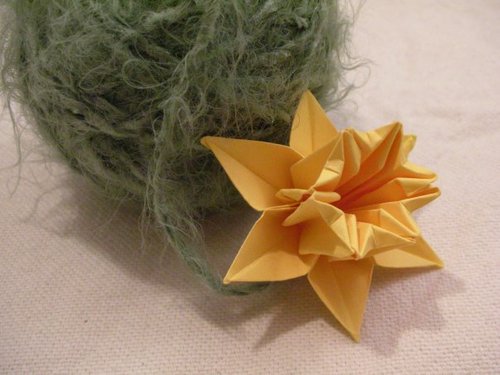 chedap's profile picture. 