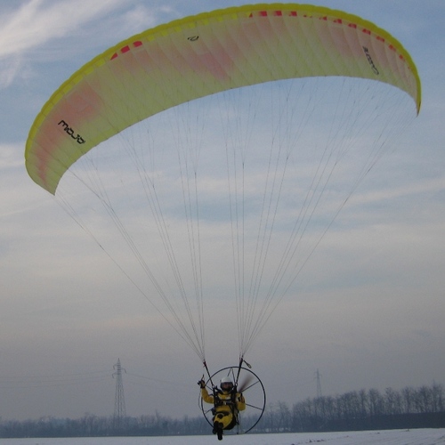 paramotori's profile picture. 
