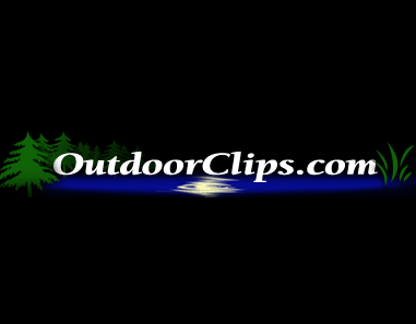 Watch or Upload your Hunting and Fishing Videos with Excellent Quality!!