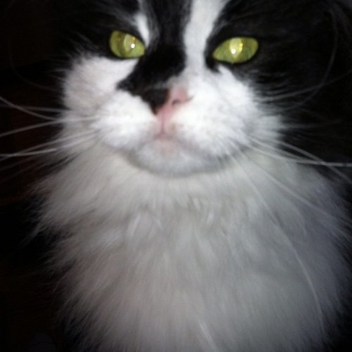 outdizzle26's profile picture. 