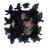 ZaunsEyeHeir's profile image