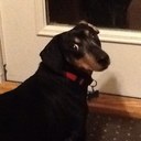 Janice Ritchie - @janice_js - Twitter