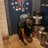 Rashee_longway's profile image