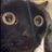 Bearloveshelly1's profile image