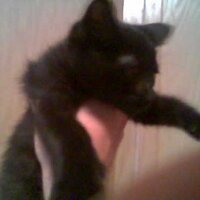 DamnManchus (@realjohngrace) 's Twitter Profile