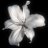 canyoujoy4rme's profile image
