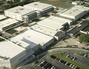 bocahigh's profile picture. 