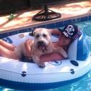 Katie Schuler - @RaiseTheLuck - Twitter