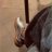 SamyAmr74657's profile image