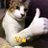 awajellyvt's profile image
